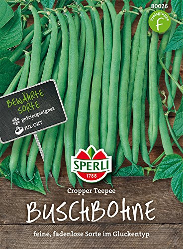 Buschbohnen, 'Cropper Teepee'