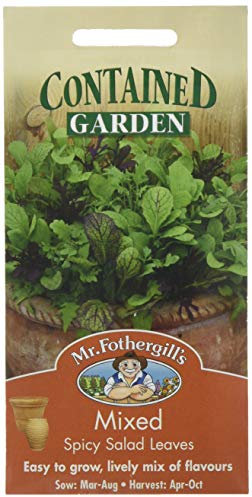 Mr Fothergill's 15871 Vegetable Seeds, Mixed Spicy Salad Leaves