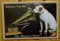 Buddel-Bini Versand Blechschild Nostalgieschild His Masters Voice (Querformat) Hund Grammophon Schild Grammofon