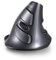 Nouveau design Delux M618 Souris verticale sans fil – Noir & Gris