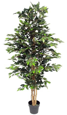 Blooming Artificial - Ficus Tree Artificial Plant, Large Fake Plant in Pot for House and Indoors, Year Round Decorative Realistic Faux Foliage (Green) (180cm/ 6ft)