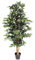 Blooming Artificial - Ficus Tree Artificial Plant, Large Fake Plant in Pot for House and Indoors, Year Round Decorative Realistic Faux Foliage (Green) (180cm/ 6ft)