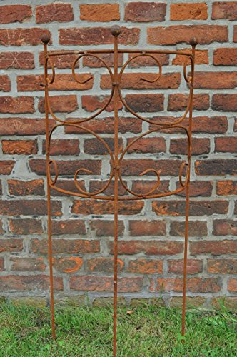 Rankgitter Staudenbinder Rankgerüst halb Eisen Rost 100cm hoch (Durchmesser: 50cm)