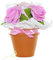 Baby Blumentopf | Windeln, Babytextilien und Rosendeko - Baby Blumenstrauß | Geschenk zur Babyparty Babyshower & Geburt