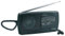 LLOYTRON ‘Sports’ 3 Band Personal Sports Radio with Earphones – Integral Fold Flat Carry Handle - Telescopic Antenna - Earphone Socket - Rotary Controls – Tuning Window - Battery Powered – N736 – Black