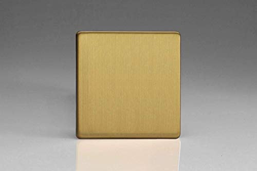 Varilight - 1G Blank Plate Dimension Screwless Brushed Brass - XDBSBS