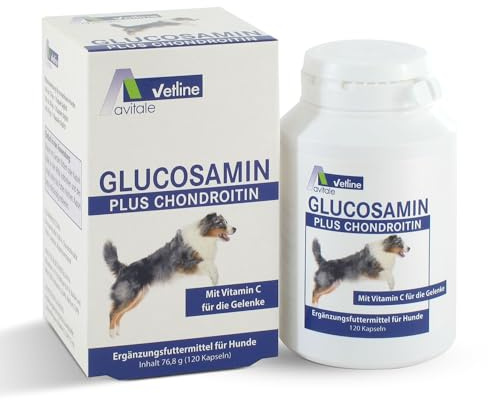 Avitale Glucosamin Plus Chondroitin mit Vitamin C für Hunde, 120 Kapseln | Für die Gelenke Ihres Hundes: mit Vitamin C (15 mg), Glucosamin (250 mg) + Chondroitin (250 mg), Vitalstoffe für die Gelenke