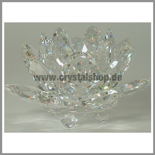 Swarovski Seerose mittel Kerzenhalter Waterlilly medium 010001 AP2011