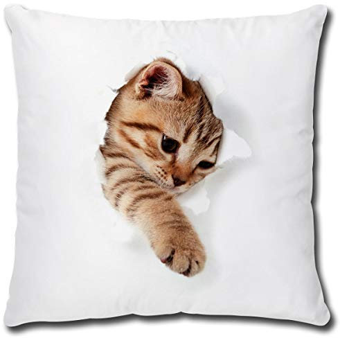 TRIOSK Kissen mit Katze Katzenmotiv Katze bricht durch Kissen lustig Katzen Geschenk für Katzenliebhaber Frauen Freundin Dekokissen 40x40