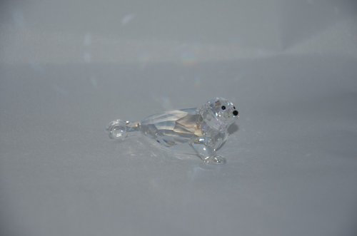 Swarovski baby Robbe seal SCS Event 2012 1096748