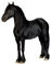 Apalis Wandtattoo No.325 Friese 75x95cm Wandsticker Kinderzimmer Pferd Pony Tier, Größe:95cm x 75cm