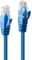 LINDY Cable de Red Rígido UTP Categoría 6 48016 Azul 50 cm
