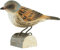 WILDLIFEGARDEN Wildlife Garden WG427 DecoBird Heckenbraunelle - Handgeschnitzter Dekorative Vogel aus Holz - Kleine Europäische Vögel