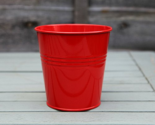 spring life 10.5CM METAL TIN FLOWER POT PLANTER PEN HOLDER CONTAINER (red)