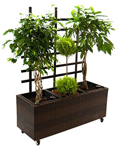 Elegant Einrichten Pflanzkübel, Pflanztrog Polyrattan mit Rankgitter 82x30x100cm Coffee braun