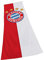 Bannerfahne Logo 120 x 300 cm