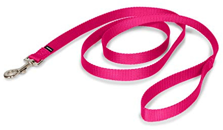 PetSafe Nylon Dog Leash Strong, Durable, Traditional Style Lead with Easy to Use Bolt Snap for Small, Medium and Large Dogs 3/4 in. x 6', Raspberry