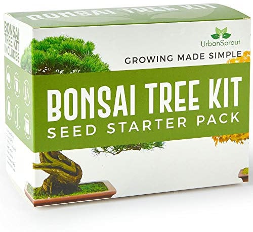 Urban Sprout Bonsai Tree Kit - Grow Your Own Bonsai Trees from Seed - Sustainable Eco Gardening Gift Set with 5 Bonzai Seed Varieties and Bonzie Starter kit Tools