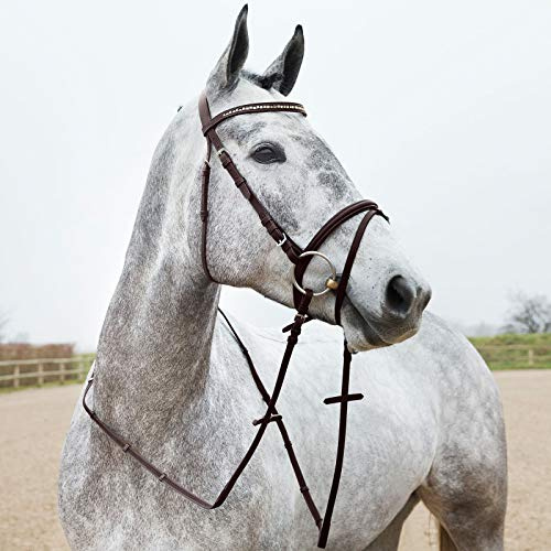 HORZE Weston Padded Leather Snaffle Bridle with Flash Noseband and Web Reins | English Bridle for Horses - Brown - Warmblood