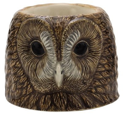 Quail Ceramics Tawny Owl Face Egg Cup