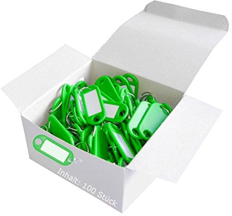 Wedo 262801804 Schlüsselanhänger Kunststoff (mit Ring, auswechselbare Etiketten) 100 Stück, grün
