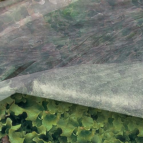 TENAX Ortoclima 2,40x10 m Bianco, Velo Protettivo Antigelo Leggero e Forzante per Piante, in TNT Tessuto non 17 g/m, Protegge Fiori Ortaggi da Freddo, Gelo Vento