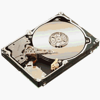 Constellation 7200 ST9500430SS Interne Festplatte (500 GB, 2,5 Zoll, SAS-2)