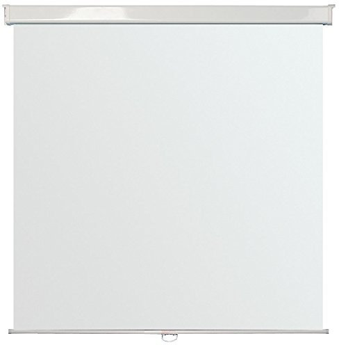 Wall Mounted Manual Projection Screens - Slow Safety Retract System (150 x 150cm)