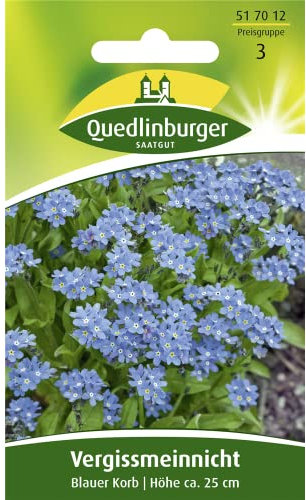 Quedlinburger Vergissmeinnicht 'Blauer Korb', 1 Tüte Samen