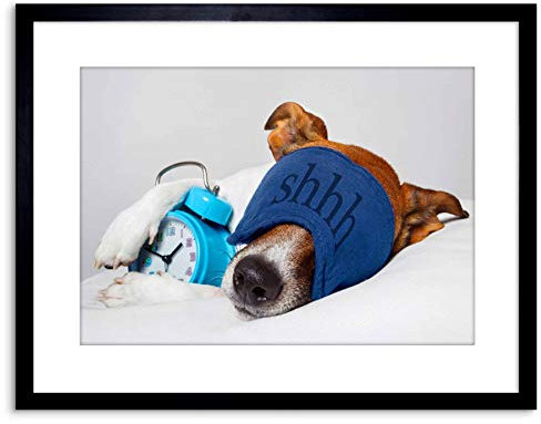 Wee Blue Coo Photo Jack Russell Dog Sleeping Alarm Clock Facemask Art Print Framed Poster Wall Decor 9x7 inch