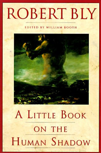 A Little Book on the Human Shadow