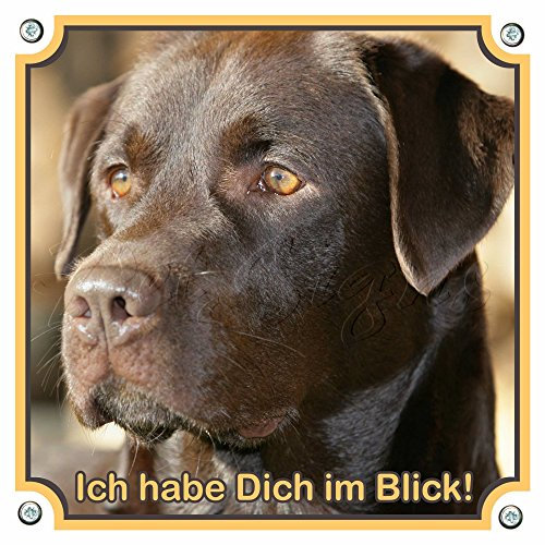 Petsigns Hundeschild Labrador - Warnschild aus Metall - besonders haltbar -, 20 x 20 cm