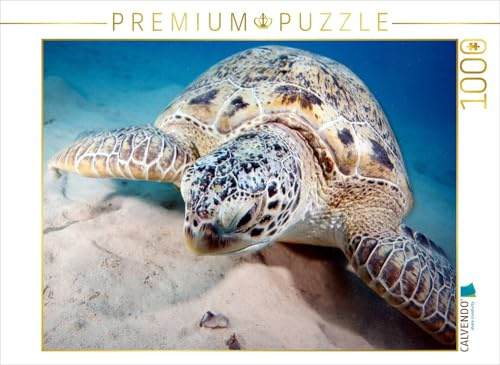 CALVENDO Puzzle Portrait Unterwasserschildkröte | 1000 Teile Lege-Größe 64 x 48 cm Foto-Puzzle für glückliche Stunden