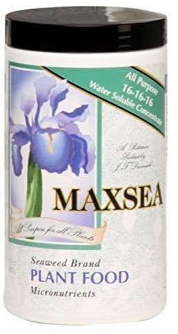 Maxsea All Purpose Plant Food 16-16-16, 1.5 lb.