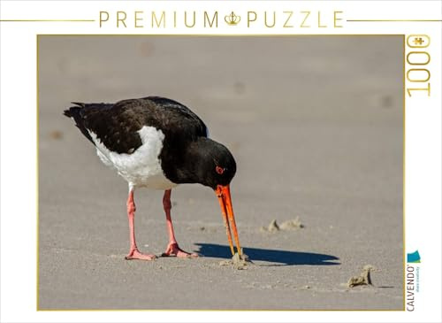 CALVENDO Puzzle Austernfischer | 1000 Teile Lege-Größe 64 x 48 cm Foto-Puzzle für glückliche Stunden