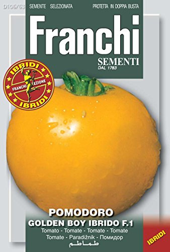 Tomatensamen - Tomate Golden Boy Hybrid F.1 von Franchi Sementi