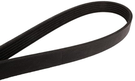 Continental 6PK2449 Metric Multi V-Belt