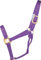 Hamilton 1 x hochwertiges Halfter aus Nylon, Größe S (227-362 kg), Lavendel