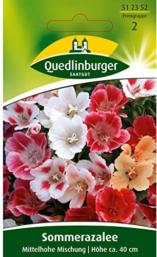 Sommerazalee, Mittelhohe Mischung