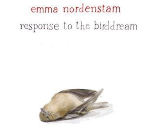 RESPONSE TO THE BIRDDREAM