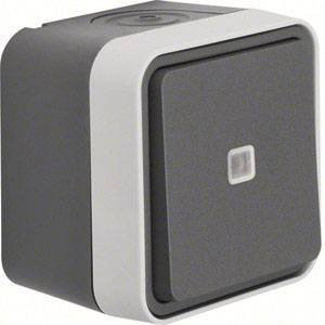 Berker Taster Wechsler 50763505 lichtgrau W.1 Taster 4011334395263