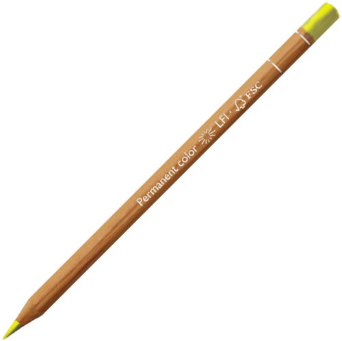 Caran D'ache Reeves Oil Pastel - 24 Assorted Colours [Toy] (6901.240 )