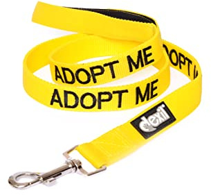 Dexil ADOPT ME (Needs A New Home) Yellow Warning Dog Colour Coded Luxury Padded Personalised 1.2m 4ft Lead Leash To Prevent Accidents or Incidents. Dog Award Winning