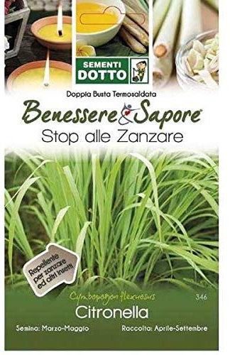 Sementi Dotto Semi di Citronella