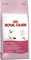 Royal Canin 55102 Kitten 4 kg- Katzenfutter