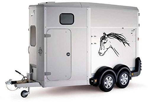 Horse Head Car Trailer Box Bonnet Truck Sticker Decals Large LSH15