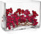 SOLAVIA Clear Glass Rectangular Flower Orchid Vase Terrarium L30 x H15 x 10cm Tank Vase Planter Trough
