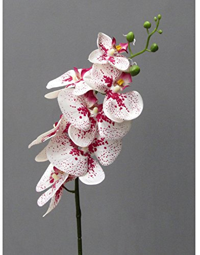 Gasper Kunstpflanze Phalenopsis in der Farbe : Weiß, in der Höhe: 86 cm, 305303-84