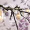 hellum Lichterkette Innen, 6 Echtglas in Tulpenform 4,5x6cm, 6 warmweiße LED, 1,5m beleuchtete Länge, Zuleitung 4,5m, transparentes Kabel, Dekorationslichterkette, 564020