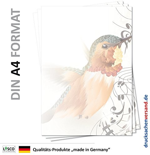 Motiv Briefpapier (Vogel-5104, DIN A4, 100 Blatt) Eisvogel im Flug Musik Noten Vögel Motivpapier